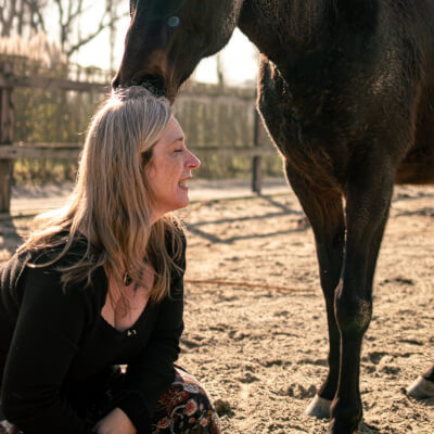 Tallon, Joke Joke Tallon